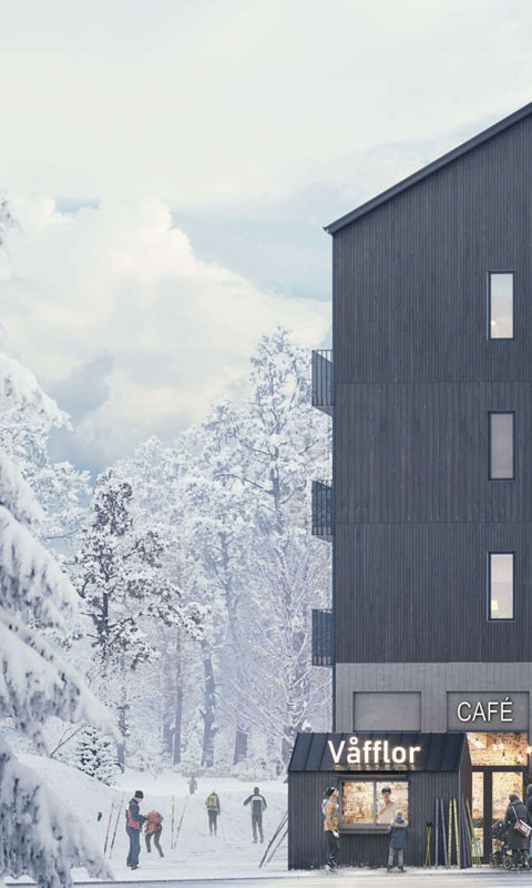 Project Liggunderlaget Magnolia
