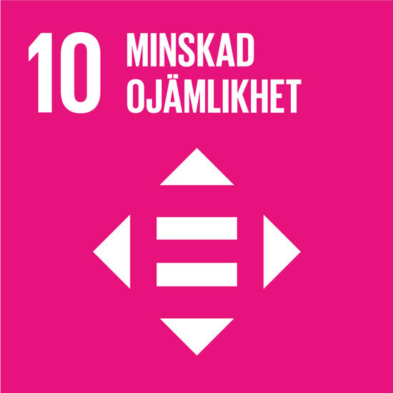 SDG 10