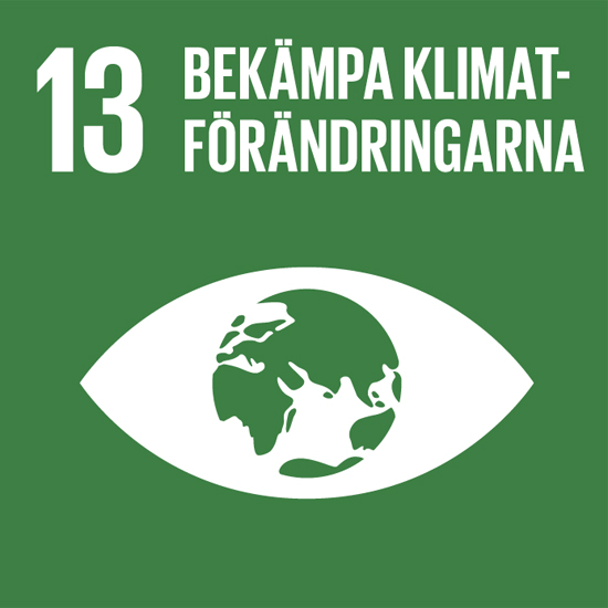 SDG 13