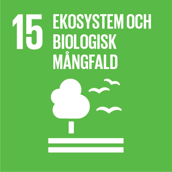 SDG 15