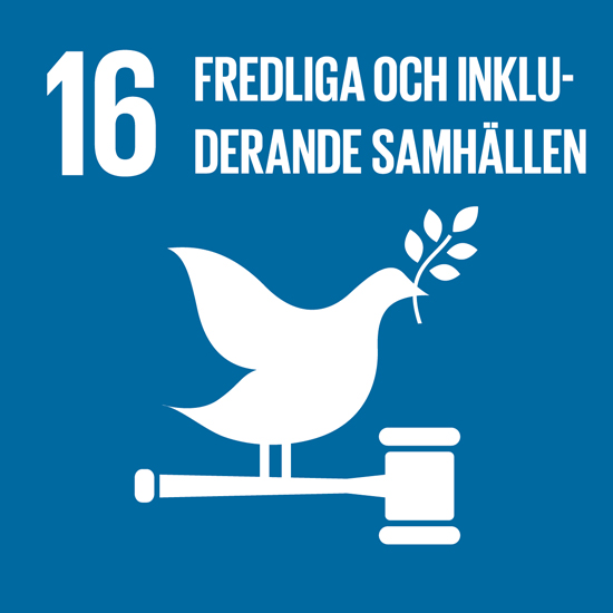SDG 16
