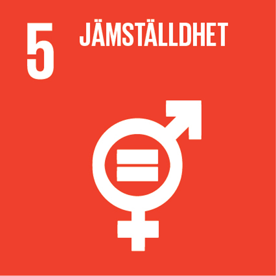 SDG 5