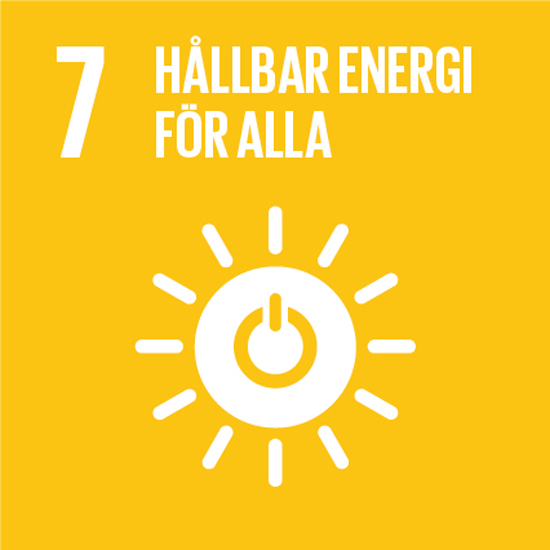 SDG 7