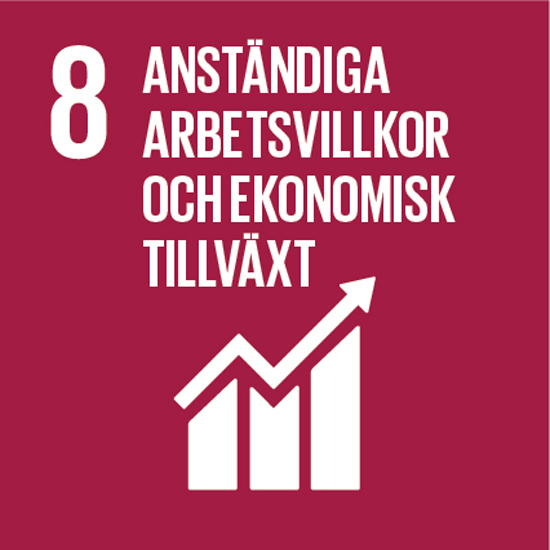 SDG 8