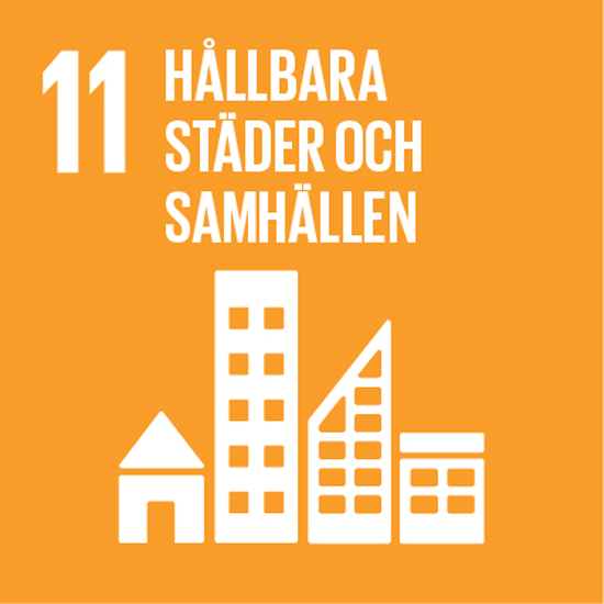 SDG 11